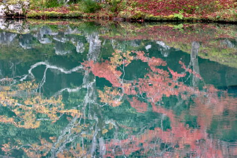 秋の曹源池庭園